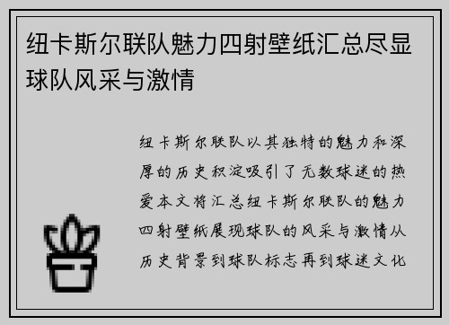 纽卡斯尔联队魅力四射壁纸汇总尽显球队风采与激情